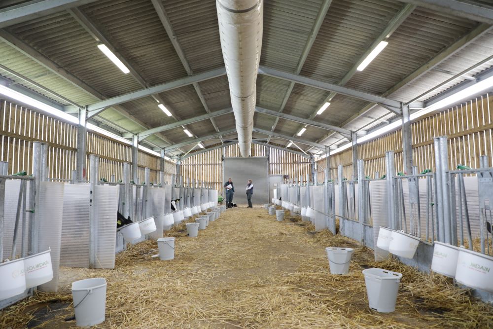 Batsons Farm calf shed